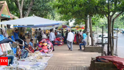 Street vendors scheme revamp: Cabinet extends PM SVANidhi till 2030, new credit cards announced