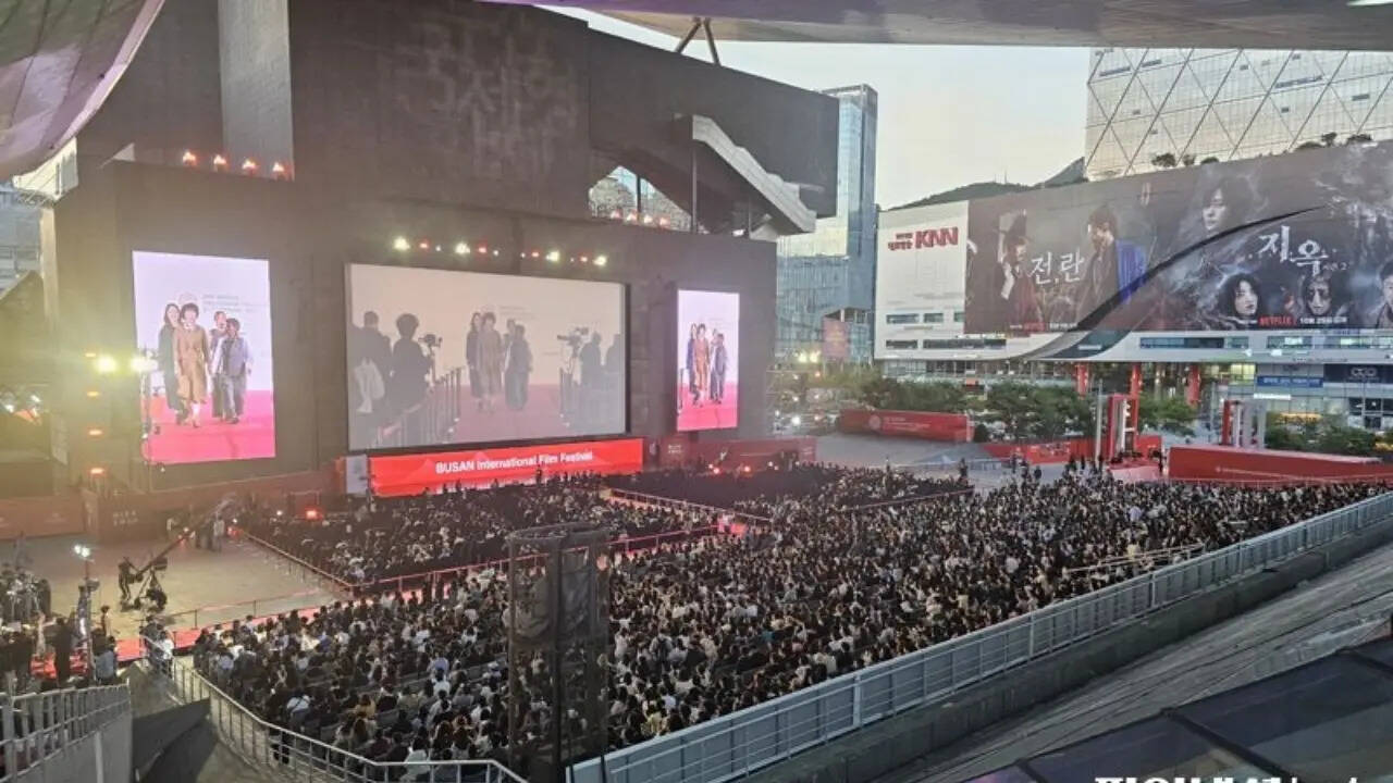 Busan International Film Festival Logo