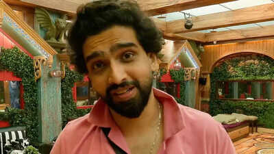 Bigg Boss 19: Amaal Mallik sends a heartfelt message for his special someone; says 'You might think I will find someone in the house but I made you a promise' | -