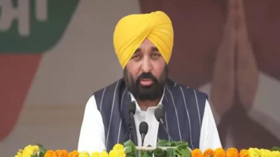 Punjab CM Bhagwant Mann deploys state helicopter for flood relief