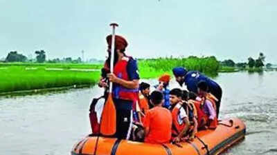 4 youths cling to tree, escape being swept away to Pakistan