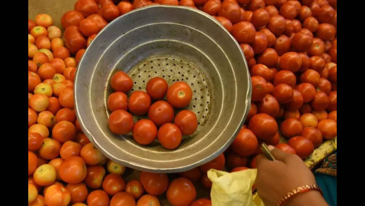 Tomato price eases in AP as supply improves | Vijayawada News - The Times  of India
