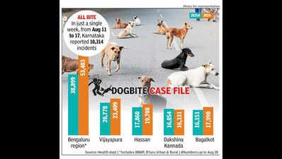 Karnataka records 3.1 lakh dogbite cases in 2025, most in Bengaluru region