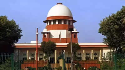 SC junks plea against ban on stone crushers