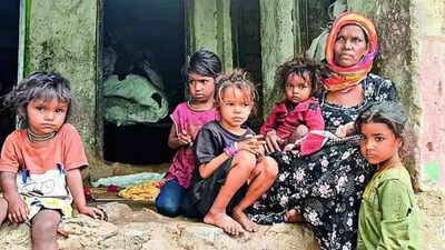Udaipur woman's 17th delivery at 55 sparks probe: Case highlights family planning gaps in tribal areas