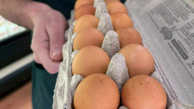 Salmonella outbreak linked to eggs infecting 95 people across 14 US states, CDC issues nationwide warning