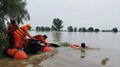 Gone to rescue a boy, NDRF team rescued four stranded into gushing Sutlej waters close to border with Pakistan