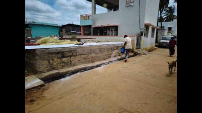 57 pigs to be culled near Bengaluru after African swine fever outbreak