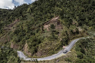 Fight to save last forests of the Comoros unites farmers and NGOs