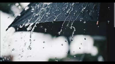 Heavy rain and strong winds cause widespread damage and disruption in Goa