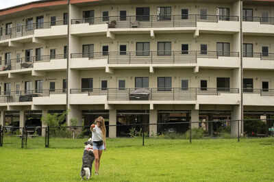 Dogs in dorms and cats on campus: How pet-friendly housing at US universities is reducing student stress