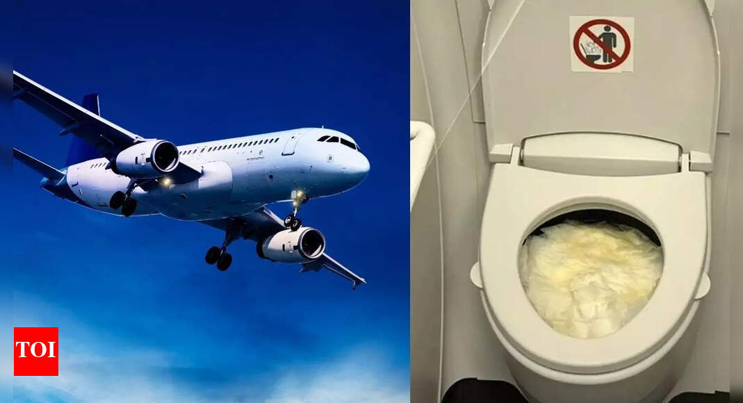 Toilet crisis at 30,000 feet: Passengers forced to use bottles on a Virgin Australia flight after lavatory failure