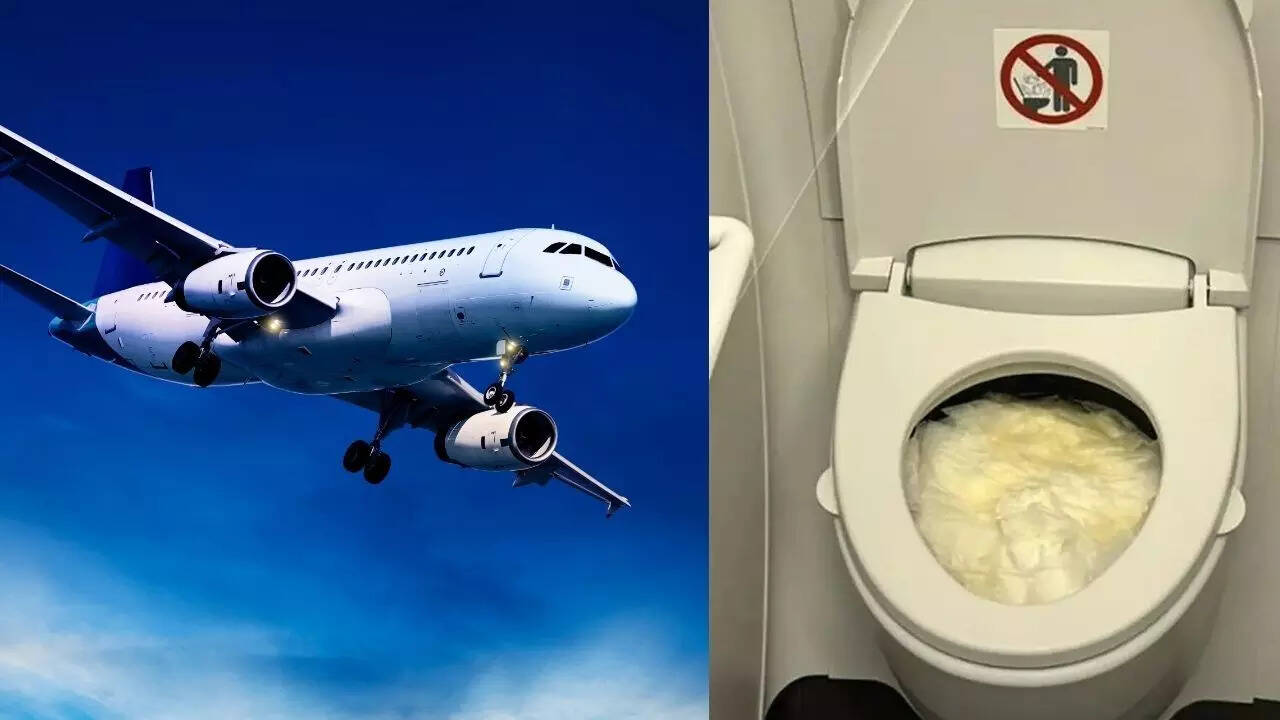 Toilet crisis at 30,000 feet: Passengers forced to use bottles on a Virgin  Australia flight after lavatory failure | World News - The Times of India
