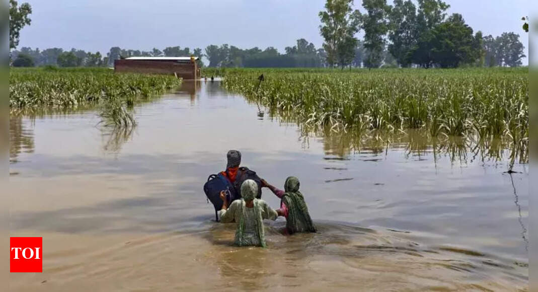 Over 26,000 people affected by floods in Gurdaspur | Chandigarh News – The Times of India