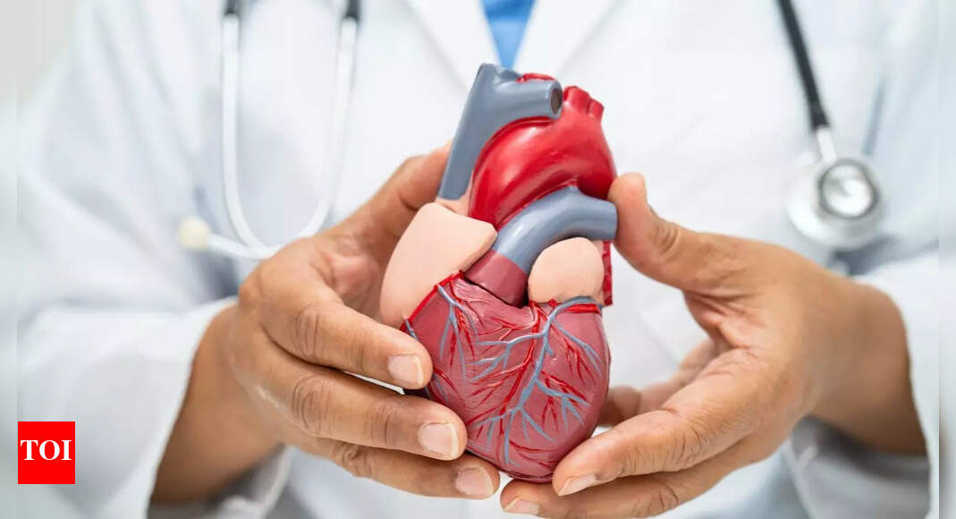 Living near an airport could increase the risk of heart disease, study finds | – The Times of India