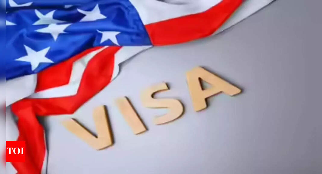 <div>US imposes 'visa integrity fee': India, China, Mexico most affected; experts warn of tourism decline</div>