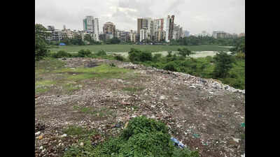 State Confirms Lotus Lake is a Wetland Despite CIDCO Claims