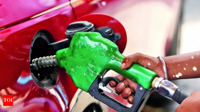 Auto cos, oil industry dub public concerns around E20 fuel as ‘hearsay and misinformation’