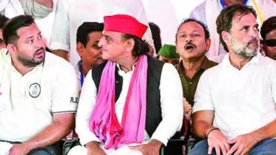 Tejashwi Declares Himself India Bloc's Bihar Cm Face