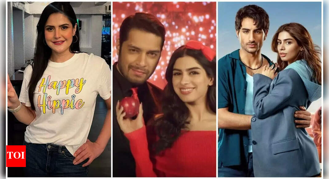 Zareen Khan calls Ibrahim Ali Khan’s Nadaaniyan ‘frivolous’, Junaid Khan misfit in Loveyapa: ‘I didn’t have Karan Johar backing’ | Hindi Movie News – The Times of India