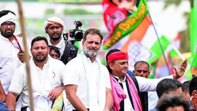  BJP