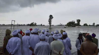 Punjab’s worst floods in nearly 4 decades: Crops on 3 lakh acres damaged; 1,018 villages submerged
