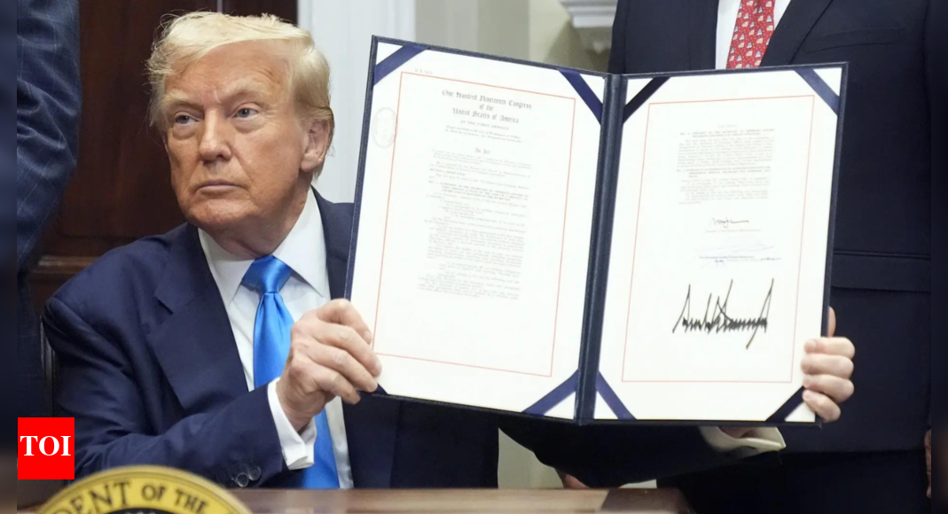 ‘Use paper ballots only’: Donald Trump vows executive order on voter ID ‘Use paper ballots only’: Donald Trump vows executive order on voter ID