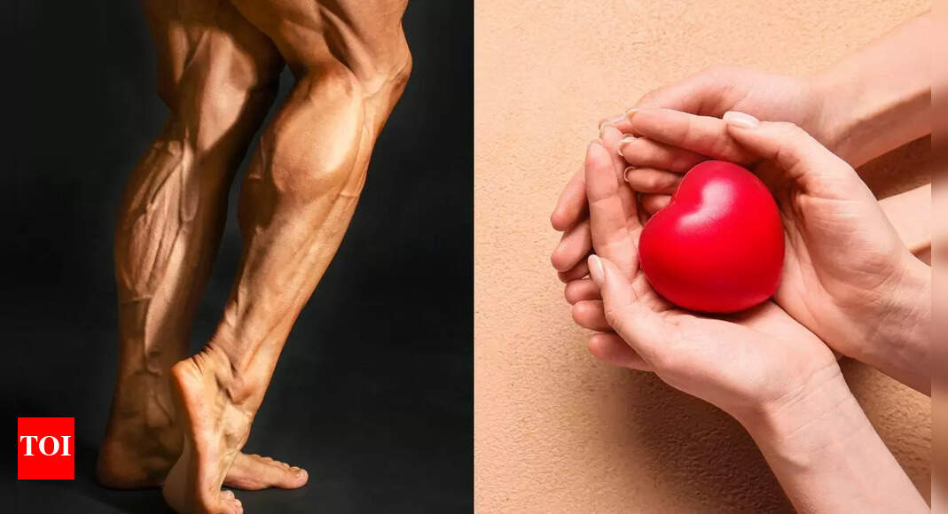 Calf muscles are your body’s ‘second heart’: Check simple exercises to improve circulation, strength, and stamina | – The Times of India