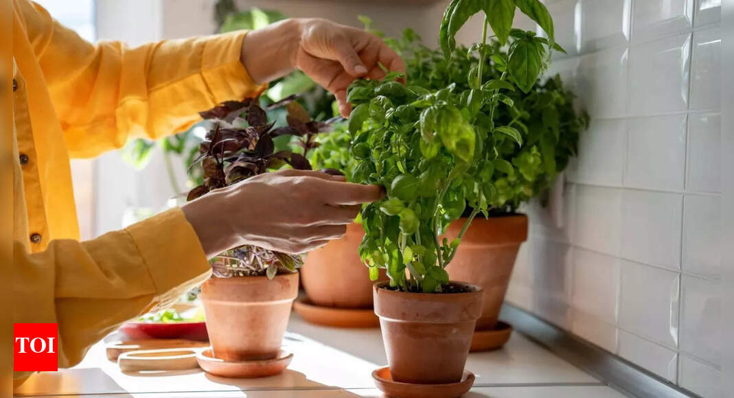 The common kitchen herb can lower your blood pressure while soothing your nerves