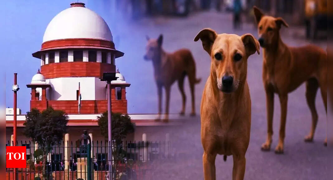 <div>'Made me famous world over': Supreme Court judge Vikram Nath jokes on stray dogs case; 'thanks' CJI Gavai</div>