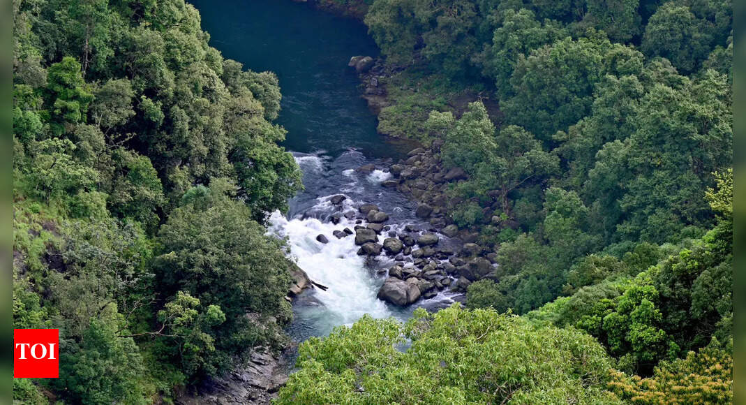 When poets & scientists fought the dam: How Silent Valley was saved