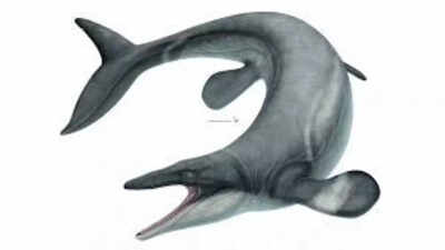  Terrifying mosasaur that ruled oceans 80 million years ago