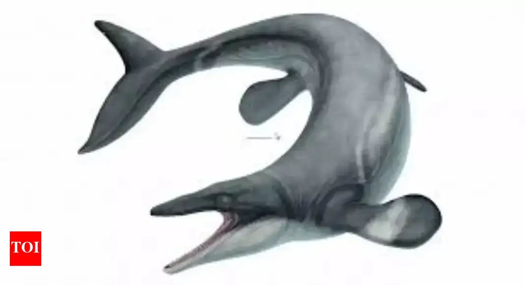 Ancient 24-foot ‘sea dragon’ Jormungander: Terrifying mosasaur that ruled oceans 80 million years ago