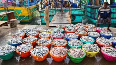 Representative image India's shrimp exports set to fall 15-18% amid Trump tariff hike; $5 billion trade at risk: Crisil