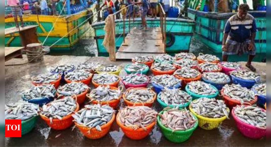 India’s shrimp exports set to fall 15-18% amid Trump tariff hike; billion trade at risk: Crisil – The Times of India India’s shrimp exports set to fall 15-18% amid Trump tariff hike; billion trade at risk: Crisil – The Times of India