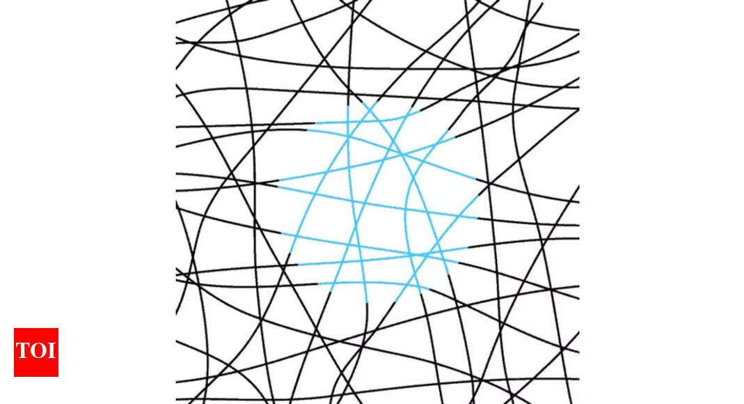 Optical illusions: These winding lines will fool one’s eyes, so look again | – The Times of India