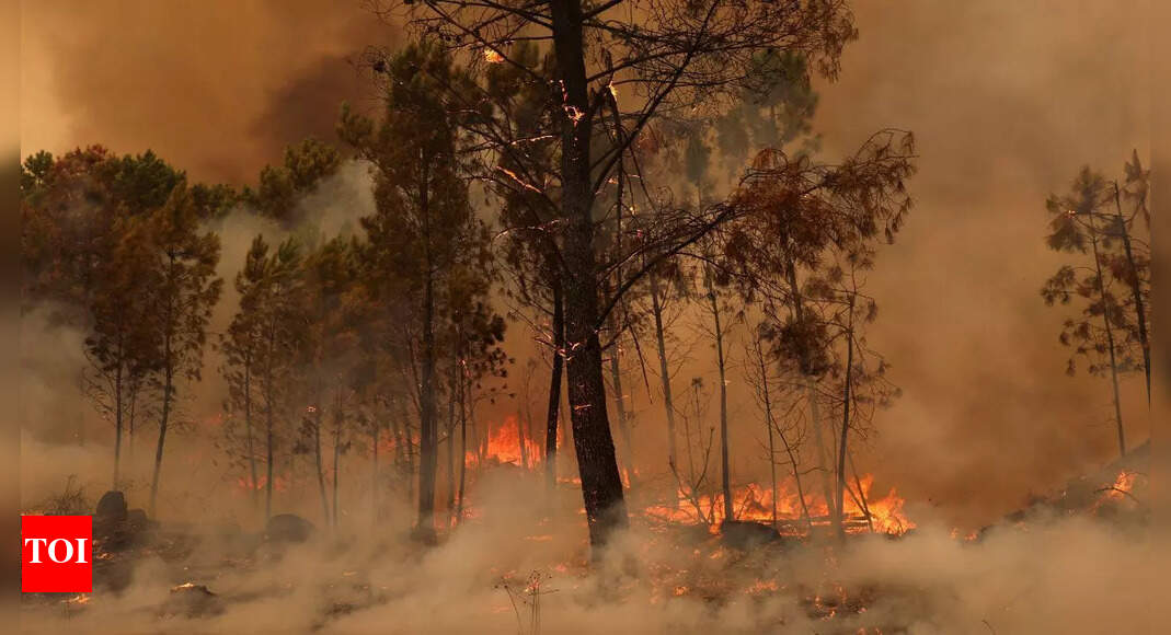 14-year-old boy admits to deliberately starting wildfires in Portugal: The reason will shock you
