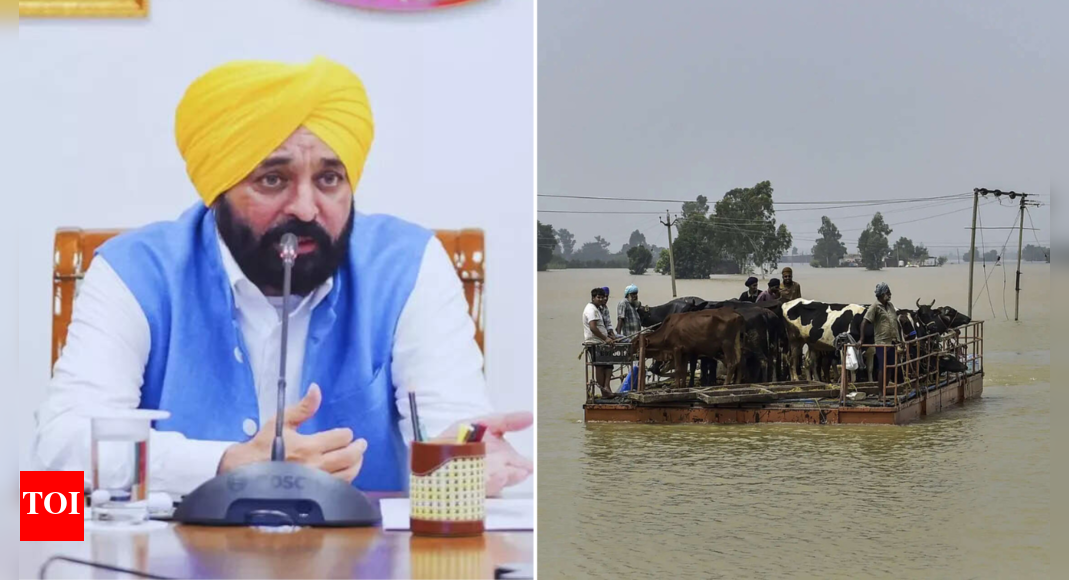 Punjab floods: CM Mann urges PM Modi to release Rs 60,000 crore state funds; schools to remain shut till Sept 3 Punjab floods: CM Mann urges PM Modi to release Rs 60,000 crore state funds; schools to remain shut till Sept 3
