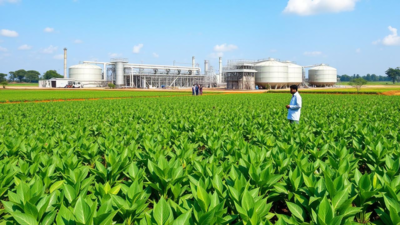  India develops first water-soluble process; aims to cut Chinese import dependence