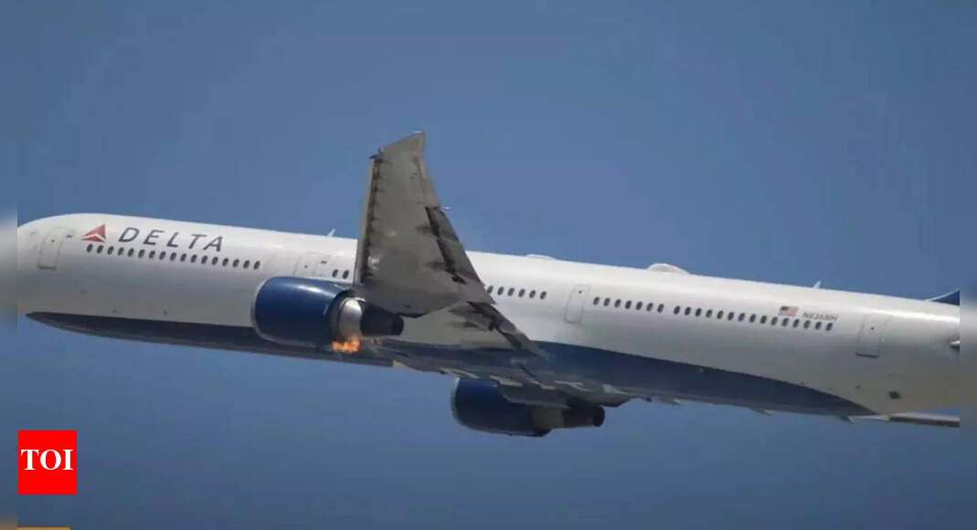 <div>'Blood was coming out of ears': Passenger sues Delta Air Lines for permanent hearing loss on a 2024 flight</div>