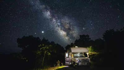  India’s best nature trips to plan before 2025 ends