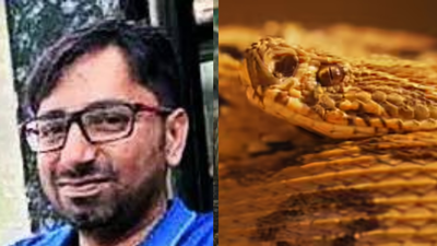 Silent killer in shoe: Snakebite goes unnoticed due to numb leg; Bengaluru man found dead