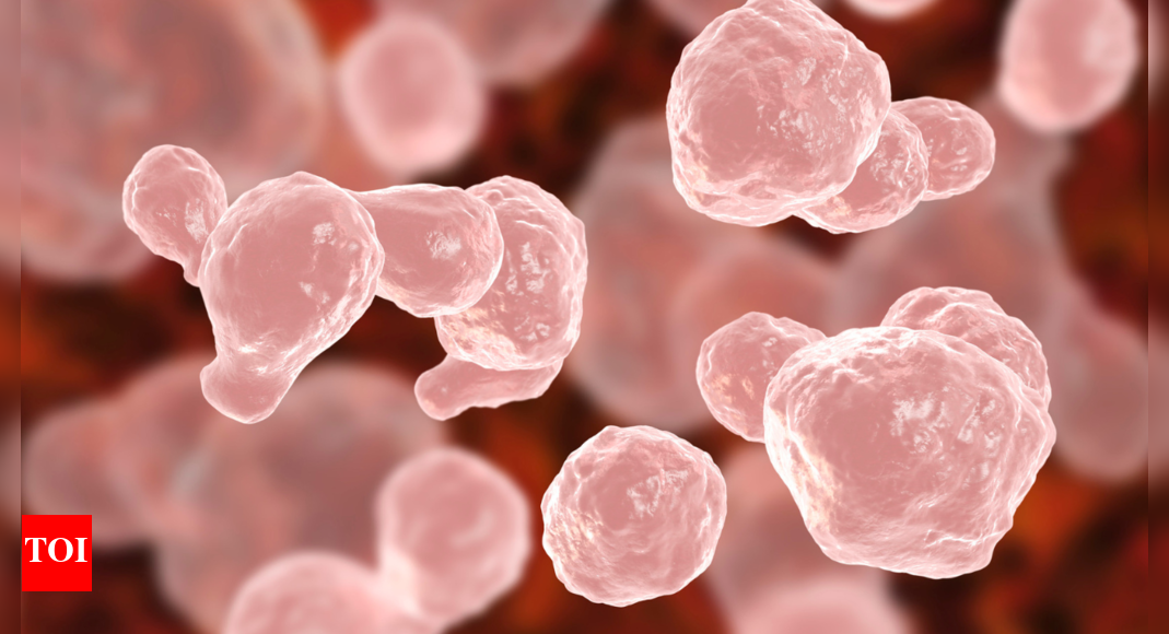 Amoebic meningoencephalitis: Kerala reports huge surge in fatal brain eating infection; know all about THIS condition – The Times of India