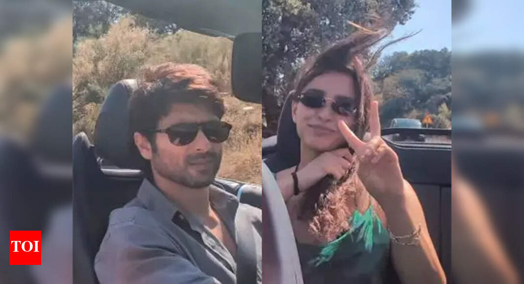 Shahid Kapoor drives through Spain with co-stars Triptii Dimri, Avinash Tiwary; watch