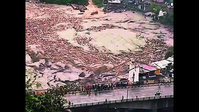 Floating logs in Ravi stir buzz, officials say it's just driftwood, uprooted trees