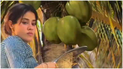 'Param Sundari': Janhvi Kapoor's coconut tree scene sparks outrage, netizens say, 'Simple Bollywood logic…'
