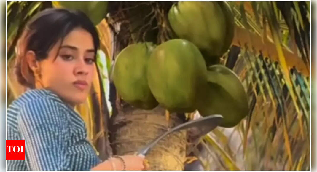 <div>Janhvi's coconut tree scene sparks outrage: 'Bollywood logic…'</div>