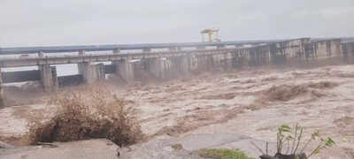 Yamunanagar administration steps up flood control measures, issues safety appeal to residents
