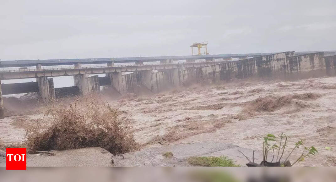 Yamunanagar administration steps up flood control measures, issues safety appeal to residents Yamunanagar administration steps up flood control measures, issues safety appeal to residents