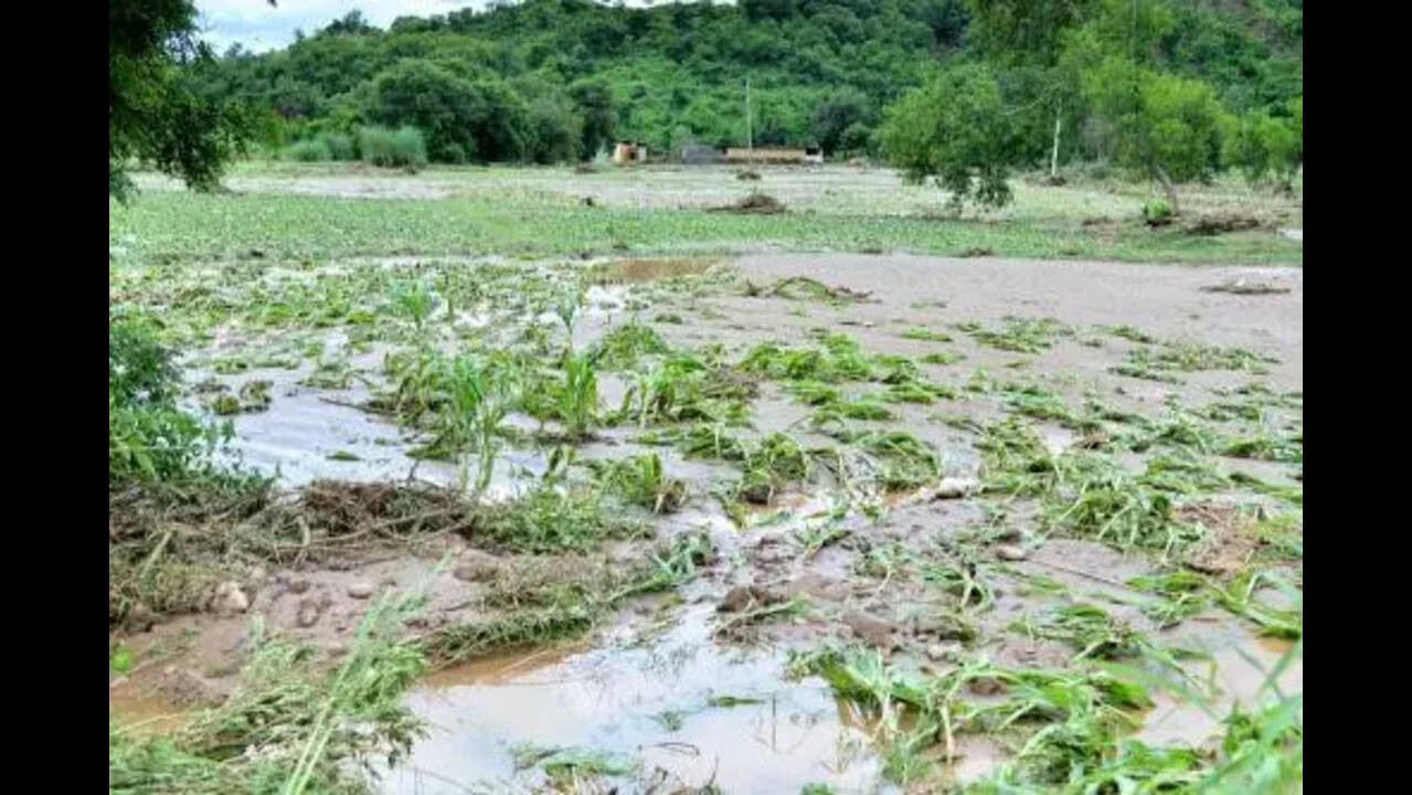 MSME Forum seeks Rs 1 lakh crore flood relief package for Punjab | Ludhiana  News - The Times of India